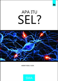 Image of APA ITU SEL?